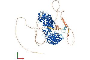 AlphaFold protein structure predicition of Mouse Recombinant Asph Protein, UniprotID Q8BSY0