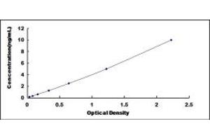 Typical standard curve (DOCK3 Kit ELISA)