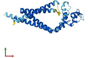 AlphaFold protein structure predicition of Human Recombinant TSPAN9 Protein, UniprotID O75954