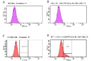 Fluorescence-activated cell sorting analysis using Mouse Anti-HSP70 Monoclonal Antibody, Clone 1H11: FITC conjugate . (HSP70 anticorps)