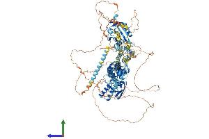 AlphaFold protein structure predicition of Human Recombinant KCNH3 Protein, UniprotID Q9ULD8