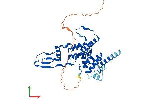 AlphaFold protein structure predicition of Human Recombinant MRPS22 Protein, UniprotID P82650