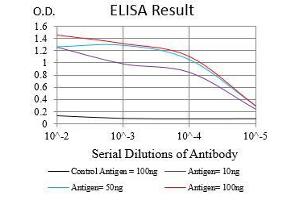 Black line: Control Antigen (100 ng), Purple line: Antigen(10 ng), Blue line: Antigen (50 ng), Red line: Antigen (100 ng), (EGFR anticorps  (AA 693-893))