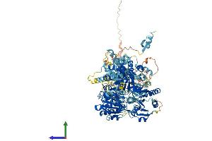 AlphaFold protein structure predicition of Human Recombinant DHX34 Protein, UniprotID Q14147