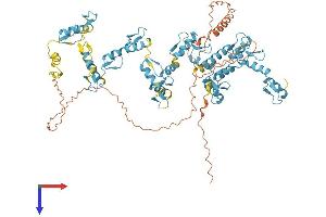 AlphaFold protein structure predicition of Human Recombinant ZNF611 Protein, UniprotID Q8N823
