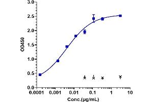 Immobilized human FGFR3IIIb His at 2 μg/mL can bind Anti-FGFR3 / CD333 Reference Antibody (vofatamab), EC50=0.