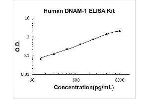 CD226 (CD226) ELISA Kit