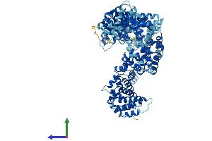 AlphaFold protein structure predicition of Human Recombinant UNC45B Protein, UniprotID Q8IWX7