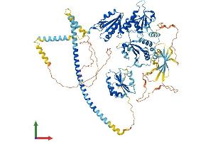AlphaFold protein structure predicition of Mouse Recombinant Txndc11 Protein, UniprotID Q8K2W3