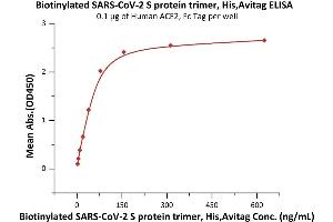 Immobilized Human ACE2, Fc Tag (ABIN6952459,ABIN6952465) at 1 μg/mL (100 μL/well) can bind Biotinylated SARS-CoV-2 S protein trimer, His,Avitag (ABIN6992366) with a linear range of 2-78 ng/mL (QC tested). (SARS-CoV-2 Spike Protein (B.1.1.7 - alpha, Trimer) (His tag,AVI tag,Biotin))