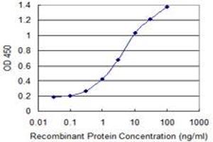 Detection limit for recombinant GST tagged SYNCRIP is 0.