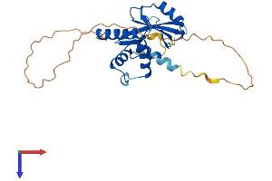 AlphaFold protein structure predicition of Mouse Recombinant Cish Protein, UniprotID Q62225