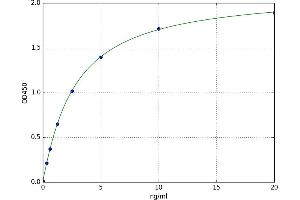 D-Dopachrome Tautomerase (DDT) ELISA Kit
