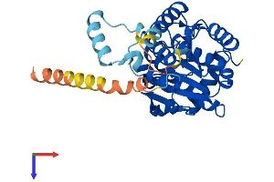 AlphaFold protein structure predicition of Human Recombinant RDH14 Protein, UniprotID Q9HBH5