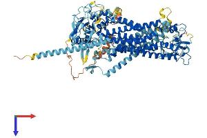 AlphaFold protein structure predicition of Human Recombinant ANO6 Protein, UniprotID Q4KMQ2