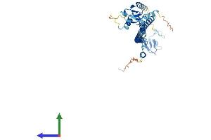 AlphaFold protein structure predicition of Human Recombinant TRIM63 Protein, UniprotID Q969Q1