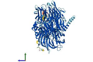AlphaFold protein structure predicition of Mouse Recombinant Sf3b3 Protein, UniprotID Q921M3