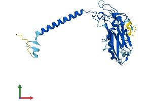 AlphaFold protein structure predicition of Human Recombinant ATP1B1 Protein, UniprotID P05026