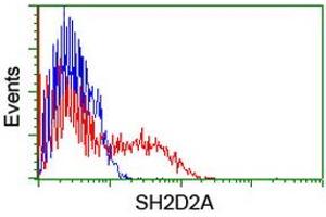 HEK293T cells transfected with either RC204162 overexpress plasmid (Red) or empty vector control plasmid (Blue) were immunostained by anti-SH2D2A antibody (ABIN2455617), and then analyzed by flow cytometry. (SH2D2A anticorps)