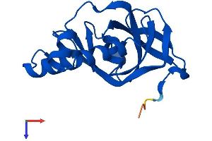 AlphaFold protein structure predicition of Human Recombinant EOLA1 Protein, UniprotID Q8TE69