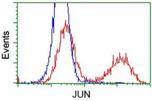 HEK293T cells transfected with either RC209804 overexpress plasmid (Red) or empty vector control plasmid (Blue) were immunostained by anti-JUN antibody (ABIN2453809), and then analyzed by flow cytometry. (C-JUN anticorps)