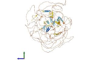 AlphaFold protein structure predicition of Mouse Recombinant Mbd5 Protein, UniprotID B1AYB6