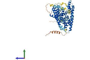 AlphaFold protein structure predicition of Mouse Recombinant Slc1a6 Protein, UniprotID O35544