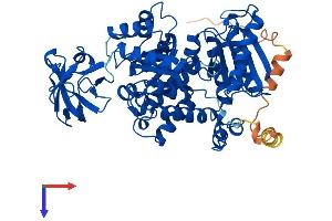 AlphaFold protein structure predicition of Human Recombinant PKLR Protein, UniprotID P30613