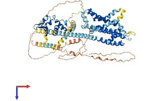 AlphaFold protein structure predicition of Mouse Recombinant Kcnd3 Protein, UniprotID Q9Z0V1