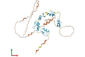 AlphaFold protein structure predicition of Human Recombinant SCRT2 Protein, UniprotID Q9NQ03