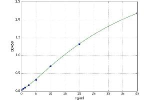 A typical standard curve (MMP2 Kit ELISA)