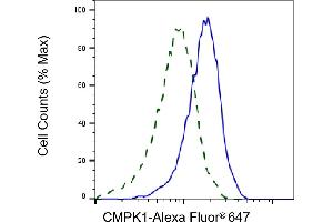 Validation of CMPK1 knockdown using flow cytometry. (Cytidine Monophosphate (UMP-CMP) Kinase 1, Cytosolic (CMPK1) anticorps)
