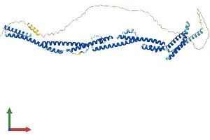 AlphaFold protein structure predicition of Mouse Recombinant Prc1 Protein, UniprotID Q99K43
