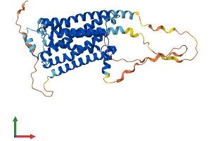 AlphaFold protein structure predicition of Human Recombinant ADRB3 Protein, UniprotID P13945