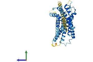 AlphaFold protein structure predicition of Mouse Recombinant Lpar6 Protein, UniprotID Q8BMC0