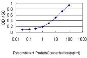 Detection limit for recombinant GST tagged S100A4 is approximately 0. (s100a4 anticorps  (AA 1-101))