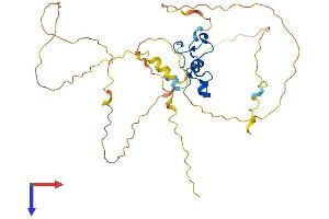 AlphaFold protein structure predicition of Human Recombinant ZFP36L1 Protein, UniprotID Q07352