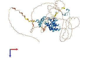 AlphaFold protein structure predicition of Human Recombinant CABLES1 Protein, UniprotID Q8TDN4