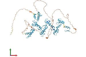 AlphaFold protein structure predicition of Human Recombinant ZNF74 Protein, UniprotID Q16587