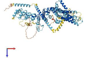 AlphaFold protein structure predicition of Human Recombinant TRPC1 Protein, UniprotID P48995