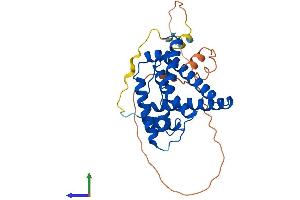 AlphaFold protein structure predicition of Human Recombinant UQCC1 Protein, UniprotID Q9NVA1
