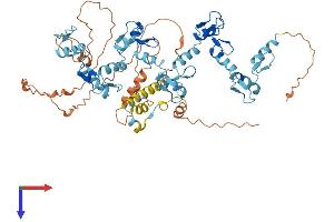 AlphaFold protein structure predicition of Human Recombinant ZNF416 Protein, UniprotID Q9BWM5
