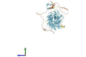 AlphaFold protein structure predicition of Human Recombinant ZNF836 Protein, UniprotID Q6ZNA1