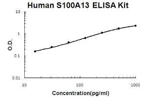 Human S100A13 PicoKine ELISA Kit standard curve (S100A13 Kit ELISA)