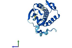AlphaFold protein structure predicition of Human Recombinant MAD2L2 Protein, UniprotID Q9UI95