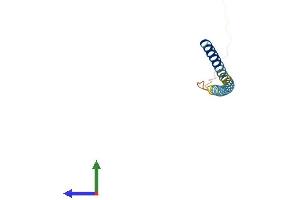 AlphaFold protein structure predicition of Mouse Recombinant Fate1 Protein, UniprotID Q8CEK7