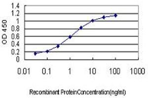 Detection limit for recombinant GST tagged ING1 is approximately 0. (ING1 anticorps  (AA 41-140))