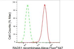 Flow cytometric analysis of RAD51 recombinase expression in HAP-1 cells using RAD51 recombinase antibody (ABIN7798367), 1:2,000). (Recombinant RAD51 anticorps)