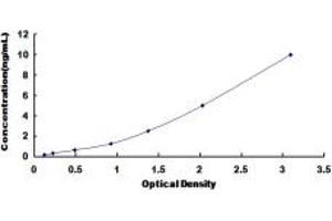 Typical standard curve (CHRDL2 Kit ELISA)