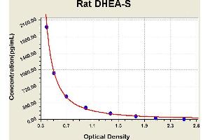 Diagramm of the ELISA kit to detect Rat DHEA-Swith the optical density on the x-axis and the concentration on the y-axis. (Dehydroepiandrosterone Sulfate Kit ELISA)